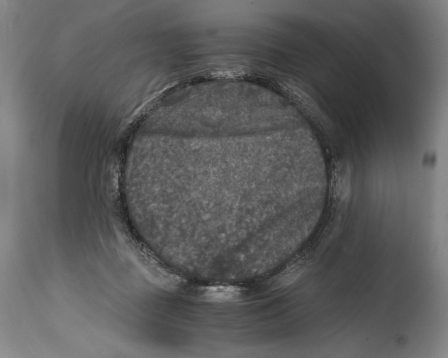 X0000114390363200911061520