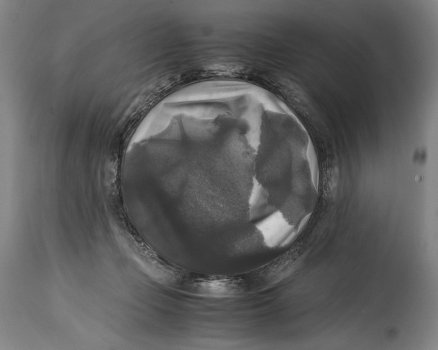 X0000114390365200911061520