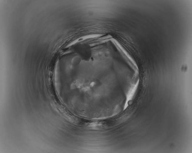 X0000114390366200911061520