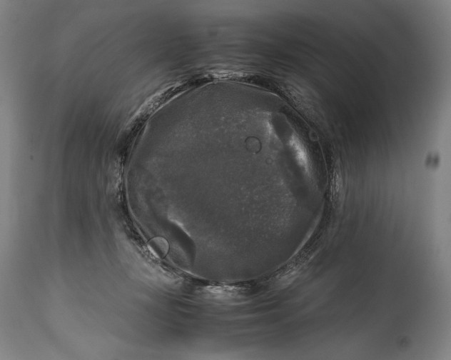 X0000114390367200911061520