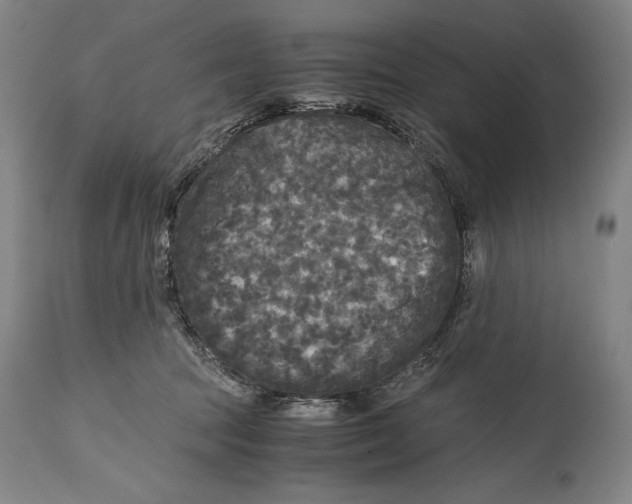 X0000114390369200911061520