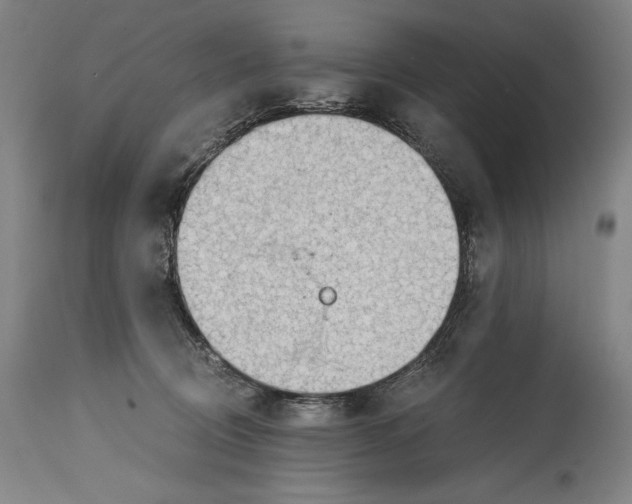 X0000114390370200911061520