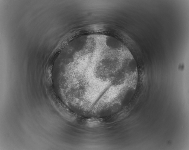 X0000114390373200911061520