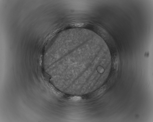X0000114390374200911061520