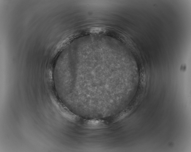 X0000114390375200911061520