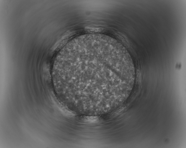 X0000114390377200911061520
