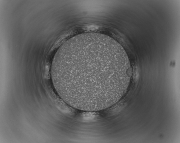 X0000114390378200911061520