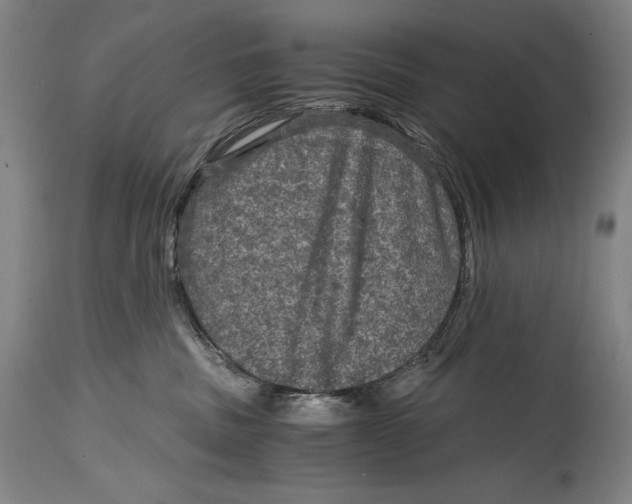 X0000114390379200911061520