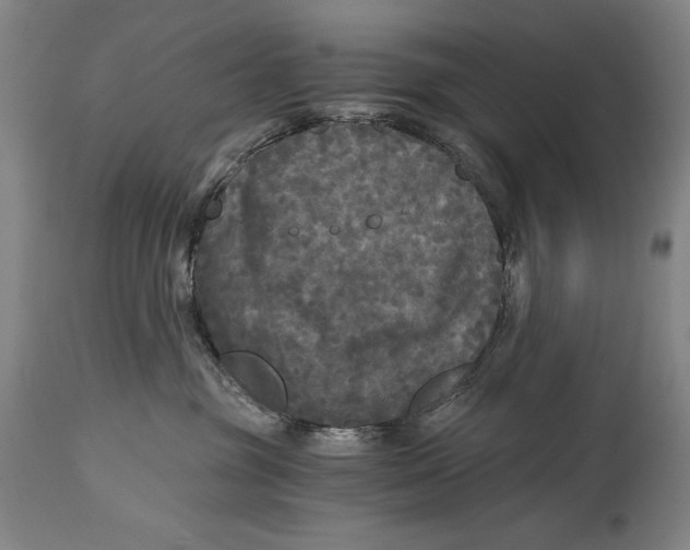 X0000114390381200911061520