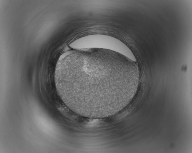 X0000114390382200911061520