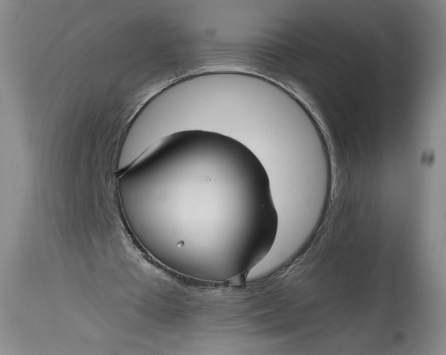 X0000114390385200911061520