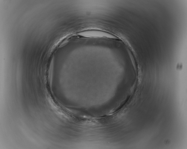 X0000114390386200911061520