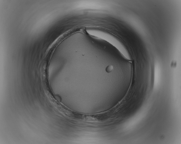X0000114390387200911061519