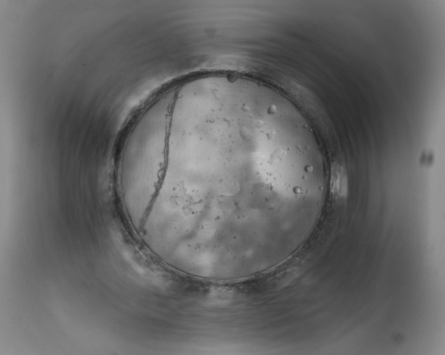 X0000114390388200911061519