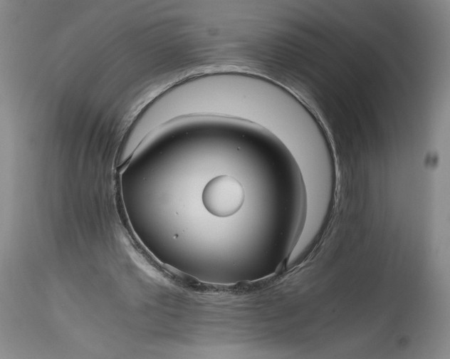 X0000114390389200911061519