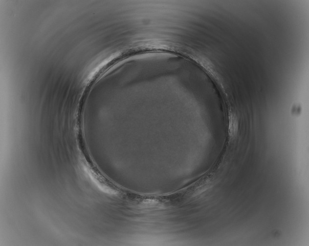 X0000114390390200911061519