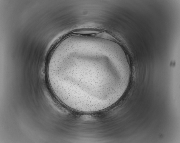 X0000114390392200911061519