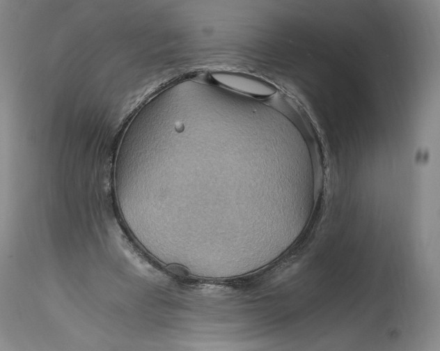 X0000114390393200911061519