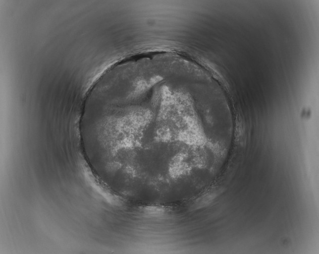 X0000114390394200911061519