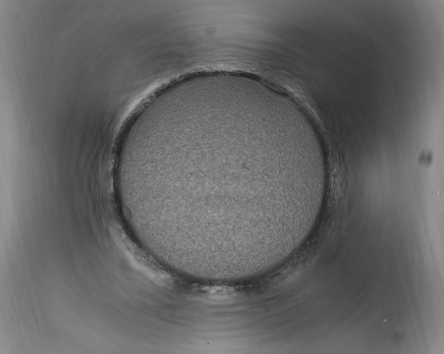 X0000114390395200911061519
