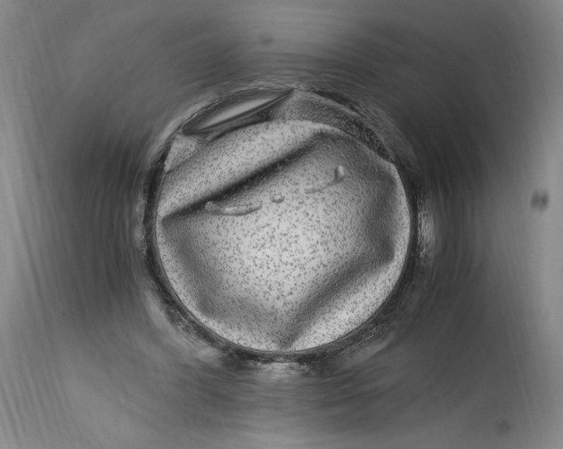X0000114390396200911061519