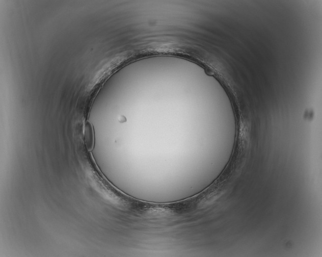 X0000114390397200911061519