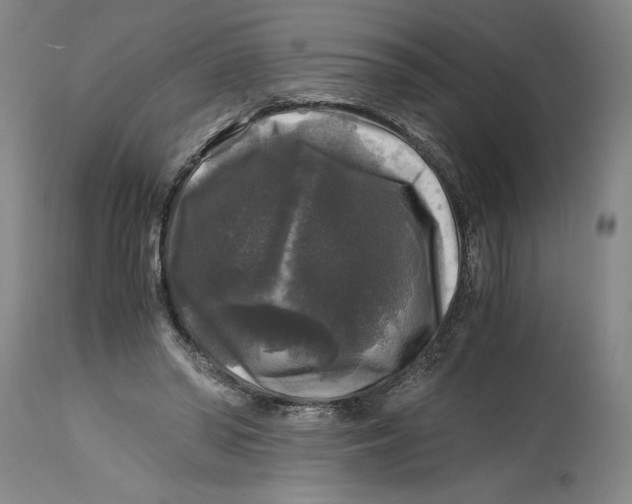 X0000114390398200911061519