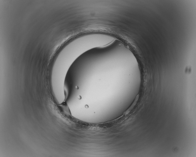X0000114390399200911061519