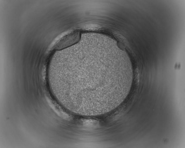 X0000114390400200911061519