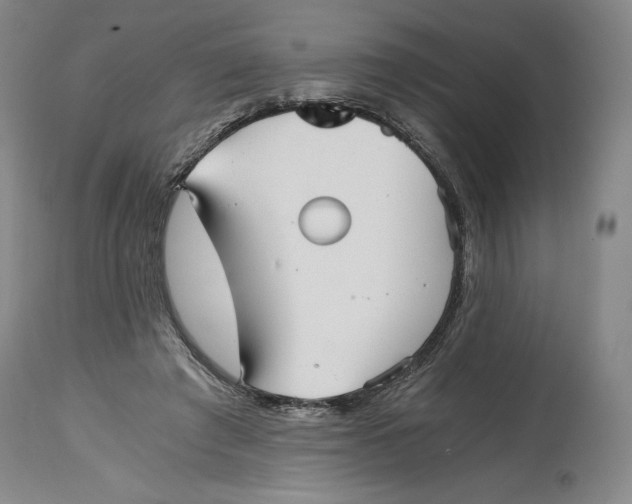 X0000114390401200911061519