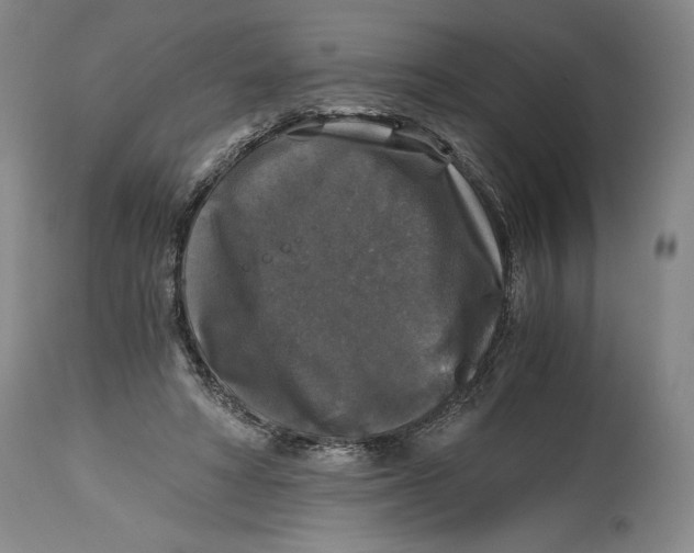 X0000114390402200911061519