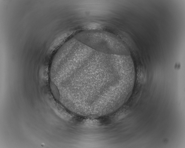 X0000114390403200911061519