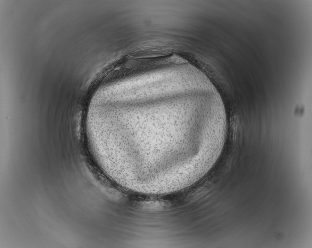 X0000114390404200911061519