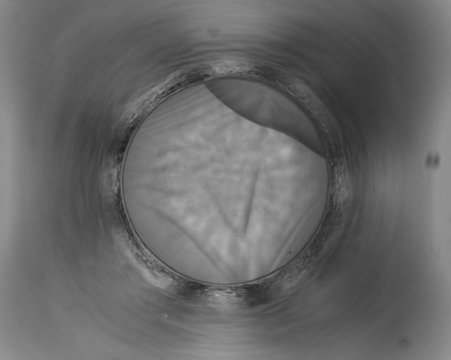 X0000114390405200911061519