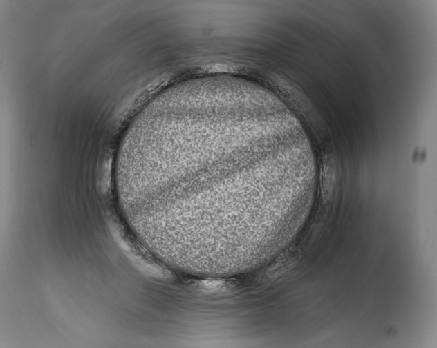 X0000114390406200911061519