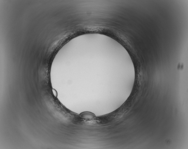 X0000114390407200911061519