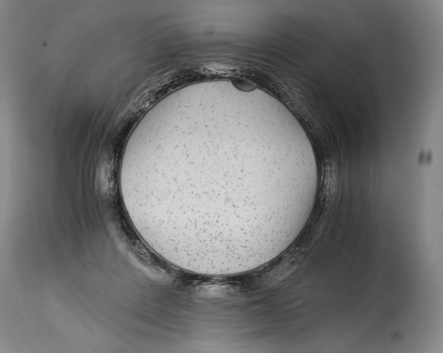 X0000114390408200911061519