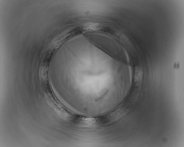 X0000114390409200911061519