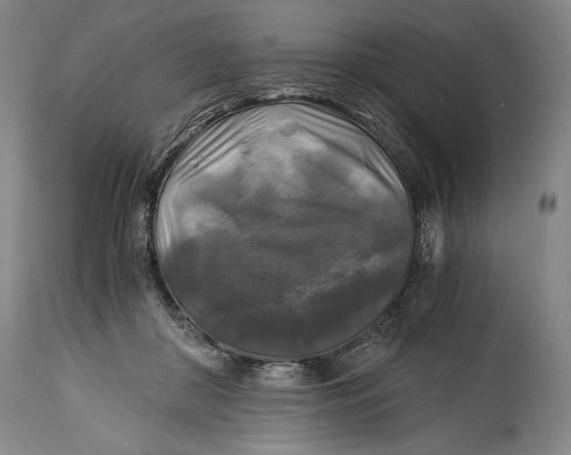 X0000114390410200911061519
