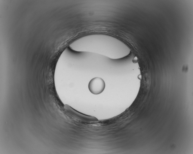 X0000114390411200911061519