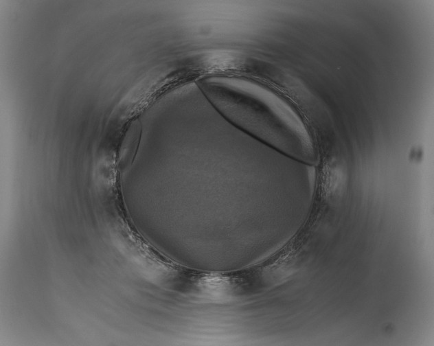 X0000114390413200911061519