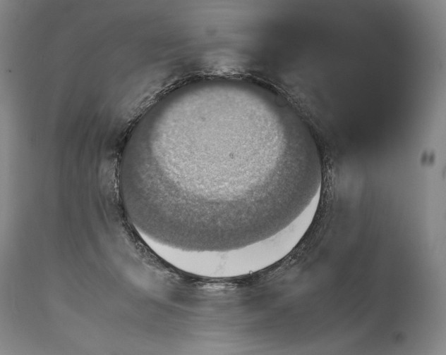 X0000114390415200911061519