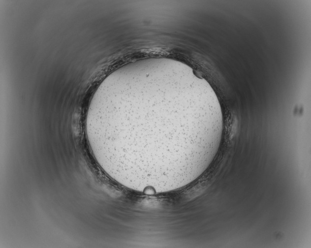 X0000114390416200911061519
