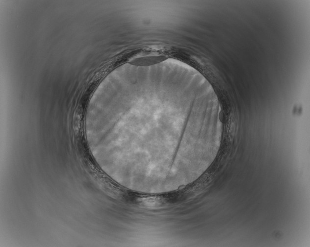 X0000114390417200911061519