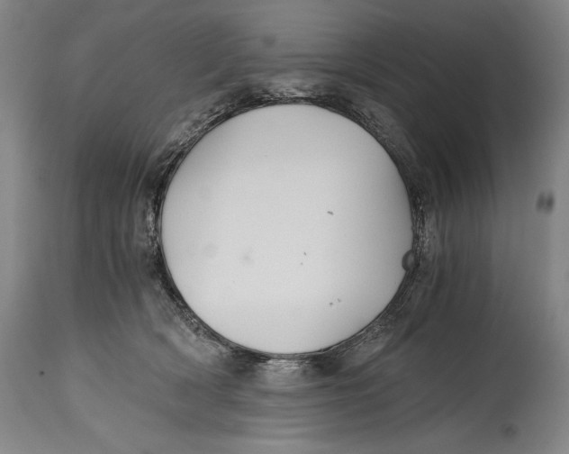 X0000114390418200911061519