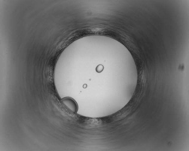 X0000114390421200911061519