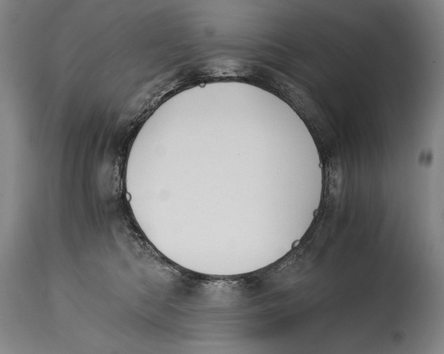 X0000114390422200911061519