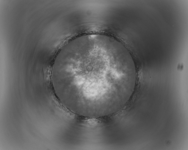 X0000114390423200911061519