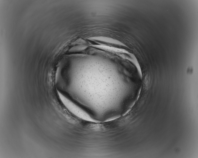 X0000114390424200911061519