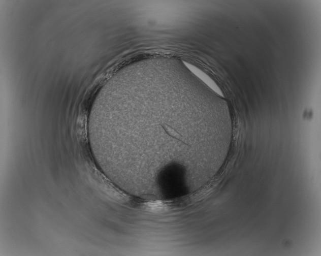 X0000114390425200911061519
